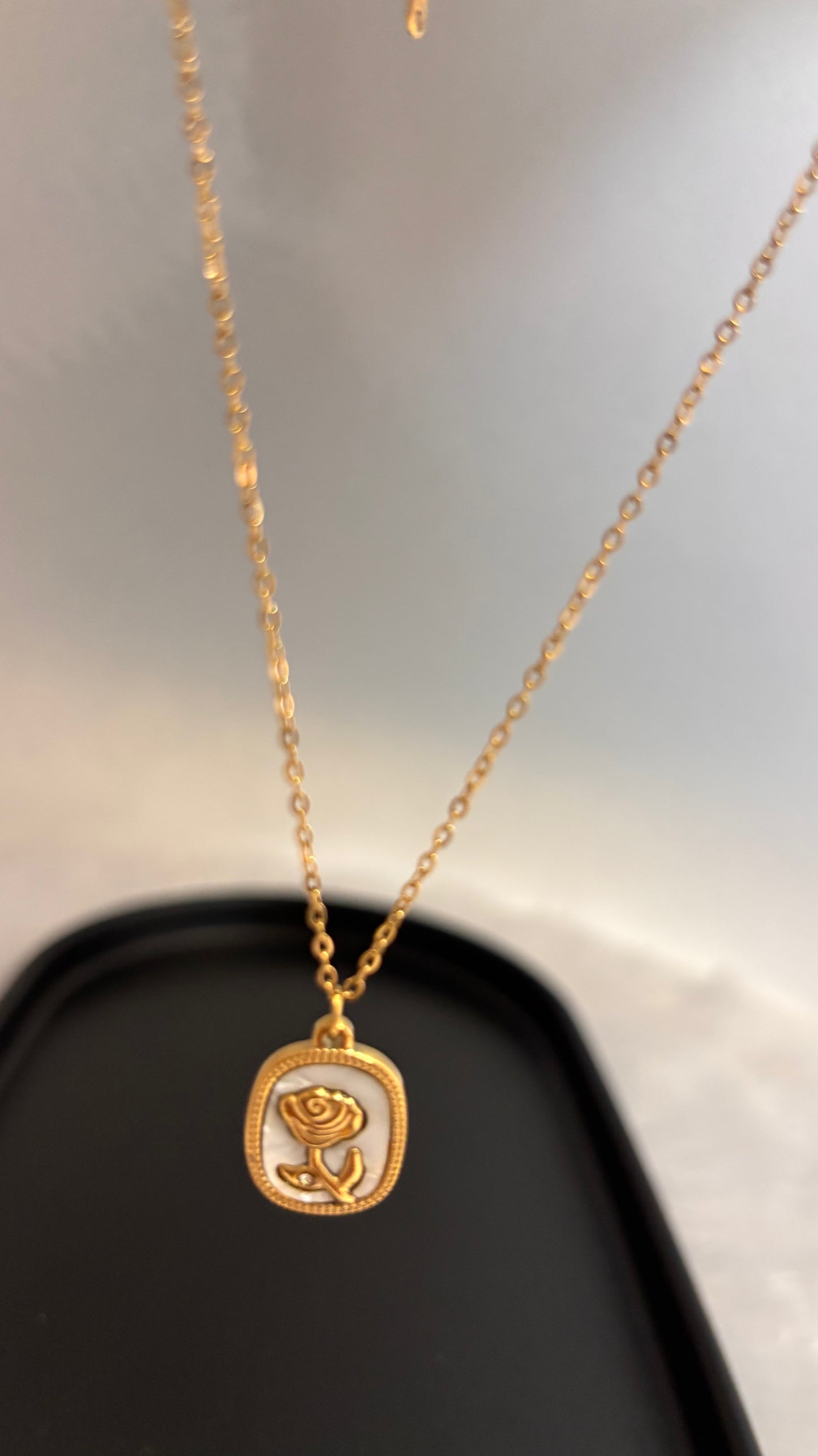 18K Gild Polished Demifine Neckchain ANTNC015